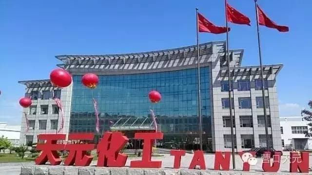 天元科技集團(tuán)-營(yíng)口化研所 清理整頓項(xiàng)目通過環(huán)保部門備案批復(fù)