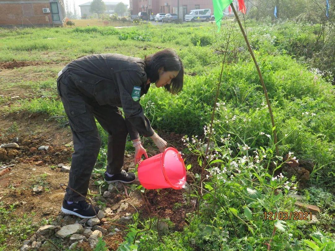 天元科技集團宜昌基地“植樹造綠，美麗園區(qū)”主題活動圓滿結束