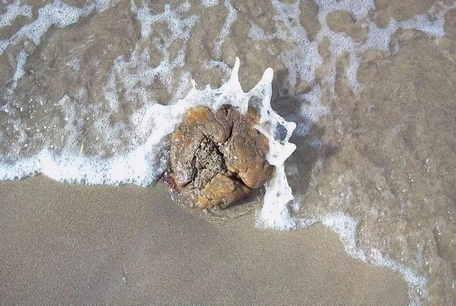 龍涎香香水的定香劑