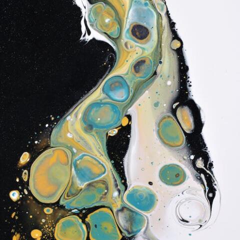 不銹鋼與塑料粘合劑